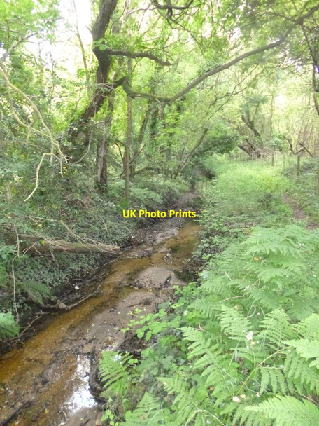 Photo 6"x4" West Parley, ditch Parley Green c2014