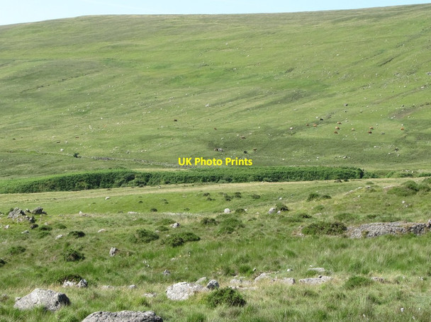 Photo 6"x4" View southwest towards the Watergap River from the Curraghknockadoo path Rostrevor c2014