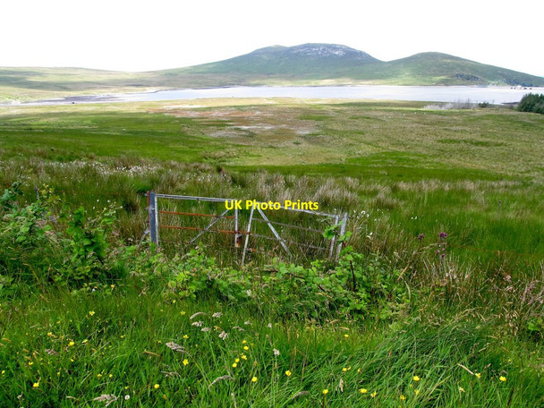 Photo 6"x4" Gateway leading to the bog off the Moyad Road Kilcoo c2013