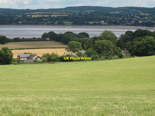 Photo 6"x4" Powderham village  Powderham c2014