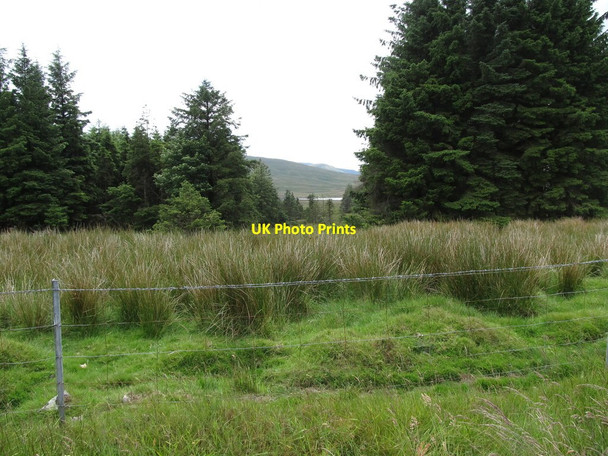 Photo 6"x4" Fire break affording a glimpse of the Spelga Reservoir Kilcoo c2013