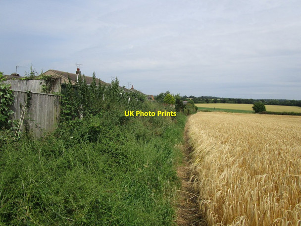 Photo 6"x4" Path behind the houses Woodsetts c2014