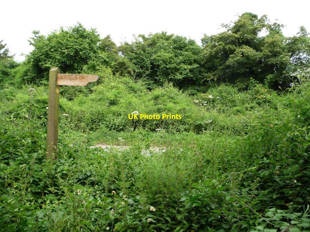 Photo 6"x4" Bridleway signpost, Monarch's Way, Street End Street End\/SU5519 c2014