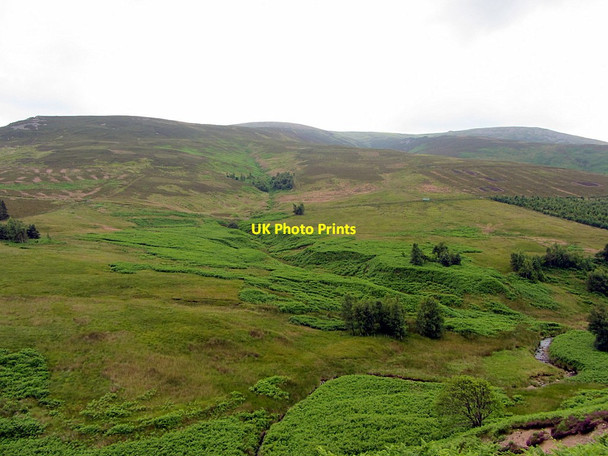 Photo 6"x4" Cheviot from Lambden Burn valley Preston Hill\/NT9223 c2014