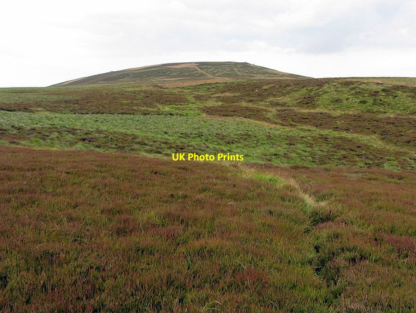 Photo 6"x4" Cold Law from south-west Middleton Hall\/NT9825 c2014