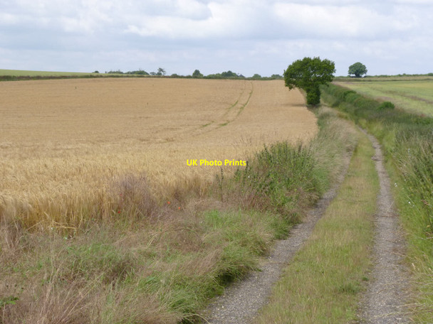 Photo 6"x4" Chiltern landscape near Ipsden Oakley Court c2014