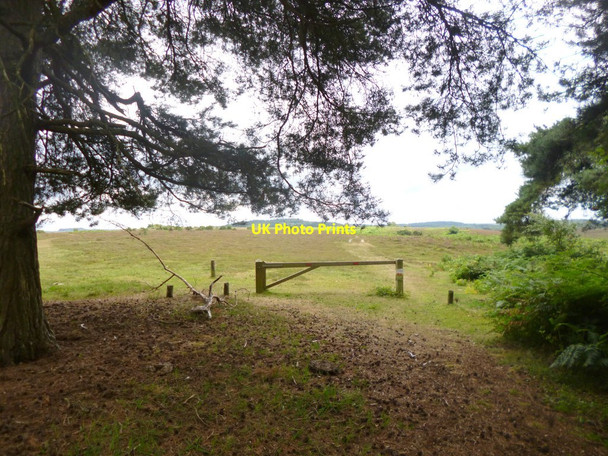 Photo 6"x4" Dorridge Hill, gateway Furze Hill\/SU1711 c2014