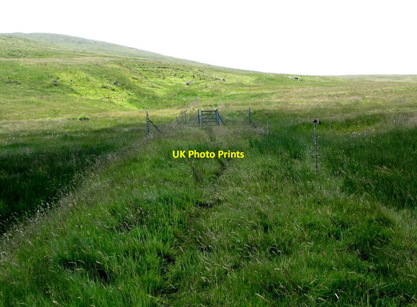 Photo 6"x4" Path gateway in the Spelga enclosure fence Hilltown\/J2128 c2013