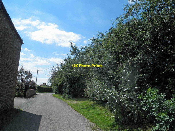 Photo 6"x4" Cowslip Lane near Louth Louth\/TF3387 c2014