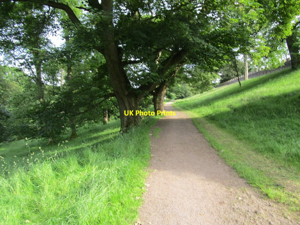 Photo 6"x4" Path in Auckland Castle Park Bishop Auckland c2014