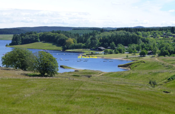 Photo 6"x4" Rough pasture in Kielder Forest Rushy Knowe\/NY6588 c2014