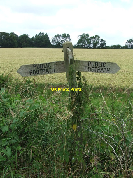 Photo 6"x4" Footpath Junction Sign Annis Hill\/TM3589 c2014