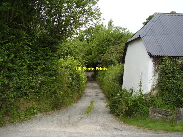 Photo 6"x4" Lillybrook lane Tedburn St Mary c2014