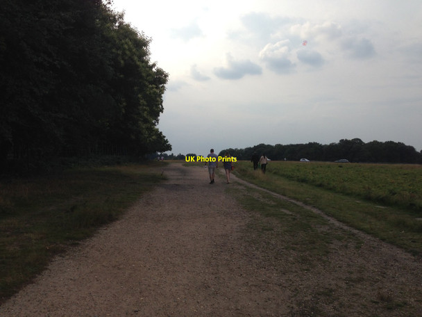 Photo 6"x4" In Richmond Park Richmond\/TQ1874 c2014