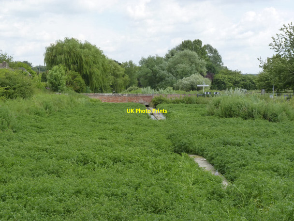 Photo 6"x4" Watercress beds above the old mill dam Ewelme c2014