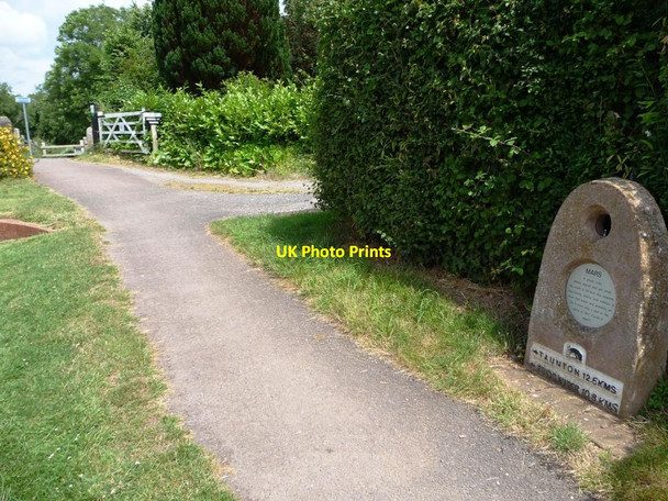 Photo 6"x4" Mars at Maunsell Lower Lock, Bridgwater & Taunton Canal Hedging c2014