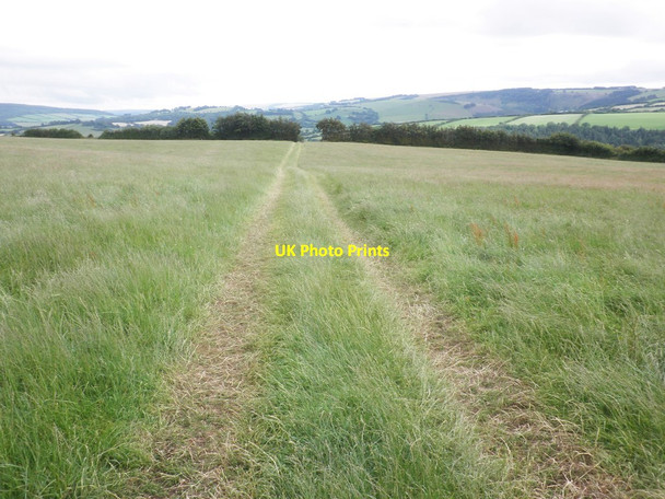 Photo 6"x4" Farm track, above Harwood Brakes Cutcombe c2014