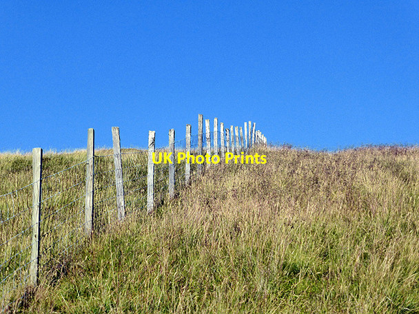 Photo 6"x4" Fence-line on Tarren Hendre Dolgoch\/SH6504 c2014