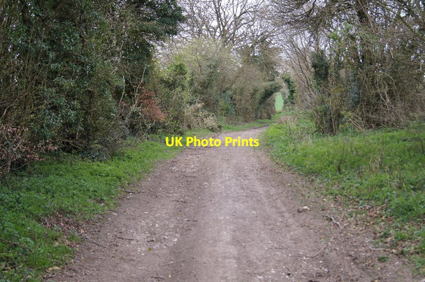 Photo 6"x4" Whitedown byway near Hook Lane Upper Wootton c2014