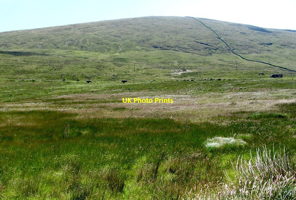 Photo 6"x4" Wetland around the source of the Upper Bann Attical c2013