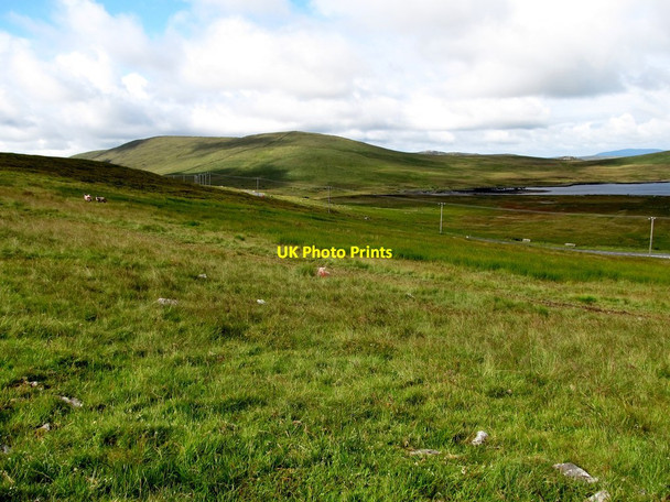 Photo 6"x4" Rough grazing above the Moyad Road Kilcoo c2013