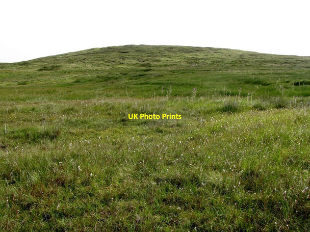 Photo 6"x4" The southern slopes of Ott Mountain Kilcoo c2013