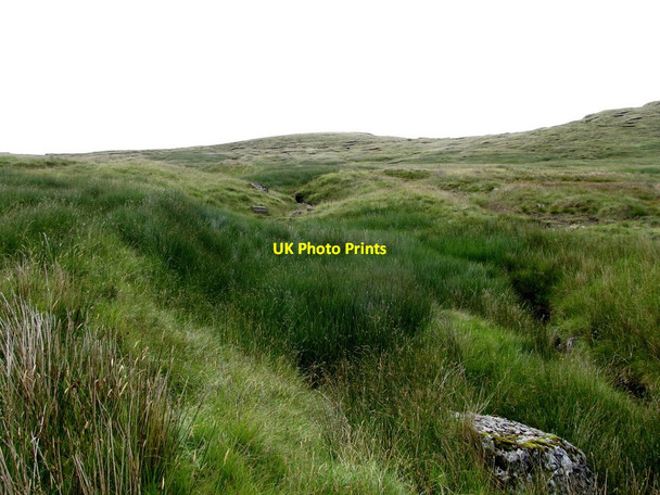 Photo 6"x4" Youthful valley below Carn Mountain Kilcoo c2013