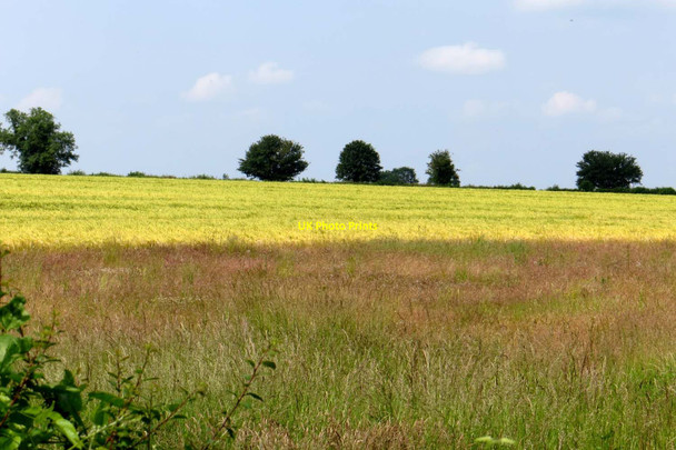 Photo 6"x4" Arable field near Maiden Bower Barton Abbey c2014