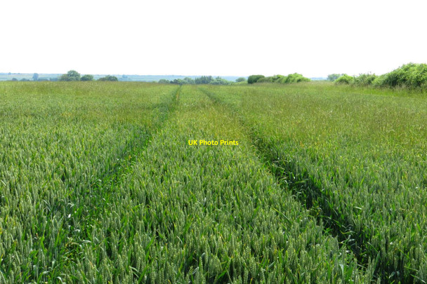Photo 6"x4" Arable field near Rousham Barton Abbey c2014 P1