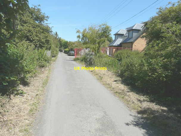 Photo 6"x4" Looking east-southeast along Goretop Lane Sandwich c2014