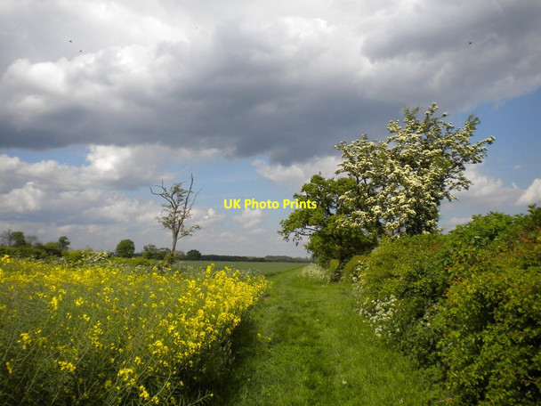 Photo 6"x4" Field edge path near Hill Farm Epperstone c2014