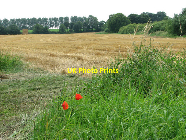 Photo 6"x4" Harvested field by Brandiston Brandiston c2014