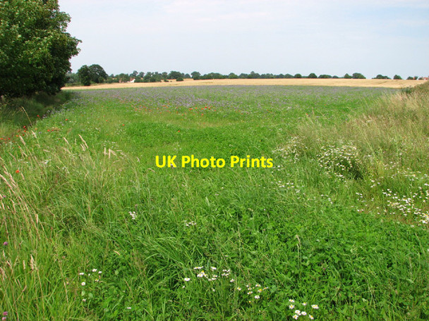 Photo 6"x4" Fields south of Brandiston Brandiston c2014