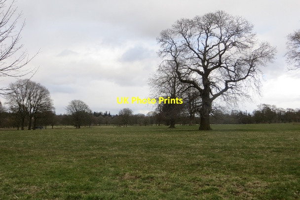 Photo 6"x4" Angles Park Bridgend\/NO3747 c2015