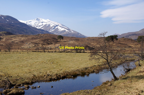 Photo 6"x4" Island in the River Farrar at Braulen Inchvuilt c2015