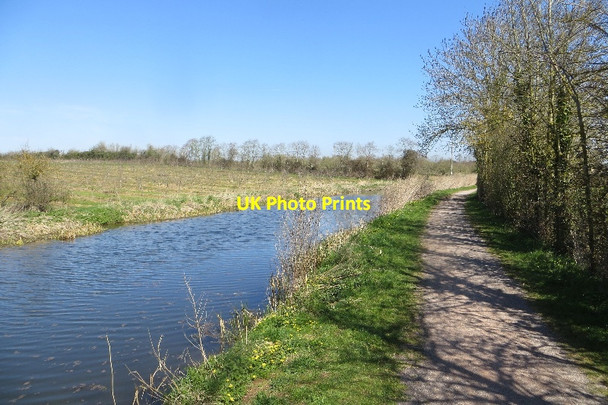 Photo 6"x4" Bridgwater canal Charlton\/ST2926 c2015