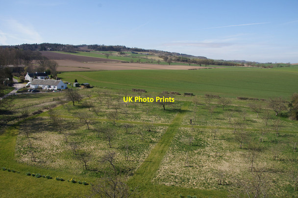 Photo 6"x4" The orchard at Elcho Castle Kinfauns c2015