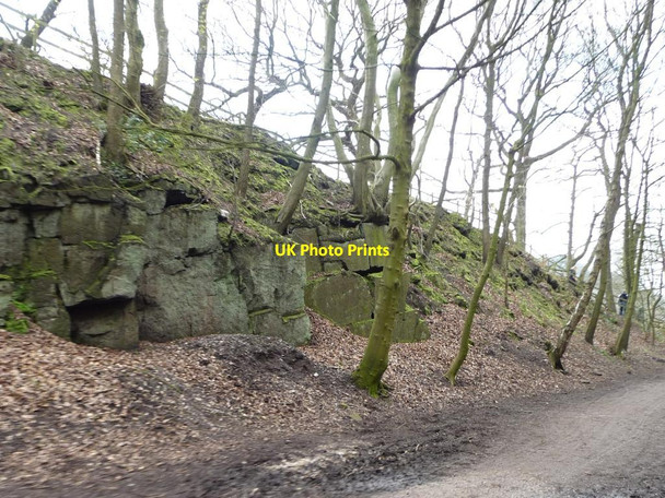 Photo 6"x4" Railway cutting, Rudyard Lake Harper's Gate c2015