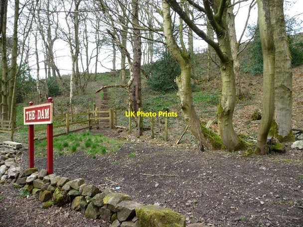Photo 6"x4" Public footpath to Green Lane and the Macclesfield Road Harper's Gate c2015