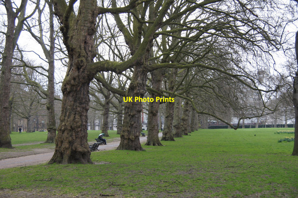 Photo 6"x4" Green Park, Westminster Westminster c2015