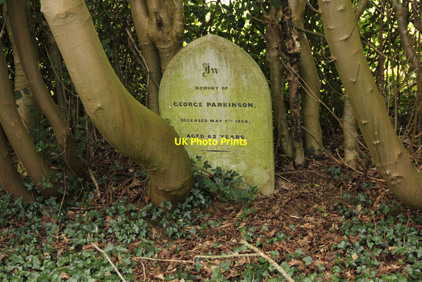 Photo 6"x4" Headstone in Rauceby Hospital burial ground Greylees c2015