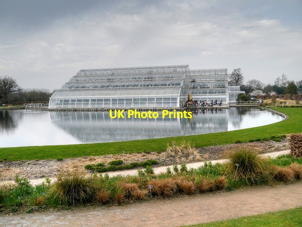 Photo 6"x4" RHS Garden at Wisley, Glasshouse Lake Wisley c2015