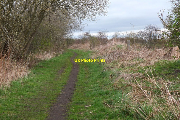 Photo 6"x4" Former railway to colliery site Ormiston\/NT4169 c2015