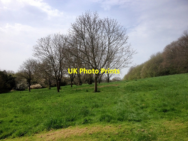 Photo 6"x4" Guildford Cathedral Grounds Guildford c2015