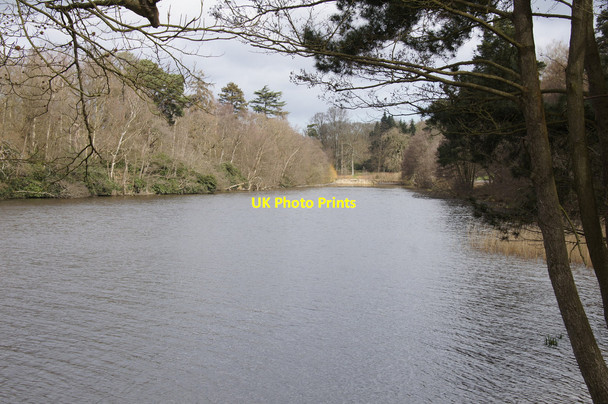 Photo 6"x4" North-eastern arm of Virginia Water Egham c2015