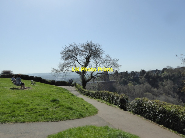 Photo 6"x4" Tree over Avon Gorge Clifton\/ST5673 c2015