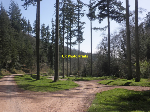 Photo 6"x4" Picnic area in Rams Combe Friarn c2015