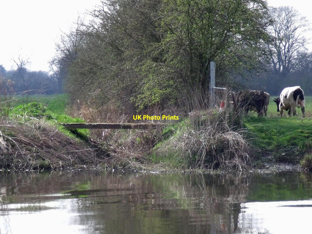Photo 6"x4" Gated footbridge over a drain Great Wilne c2015