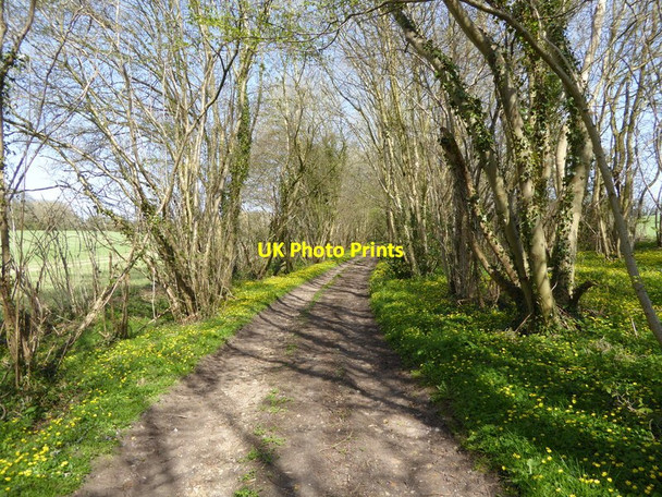 Photo 6"x4" Public access track between fields Chidden c2015