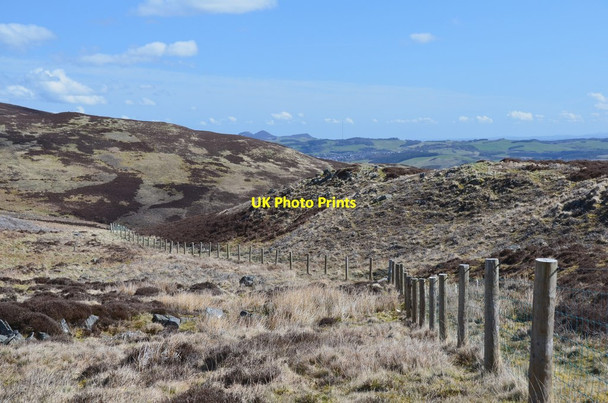 Photo 6"x4" Fence on Kirkhope Hill Ettrickbridge c2015
